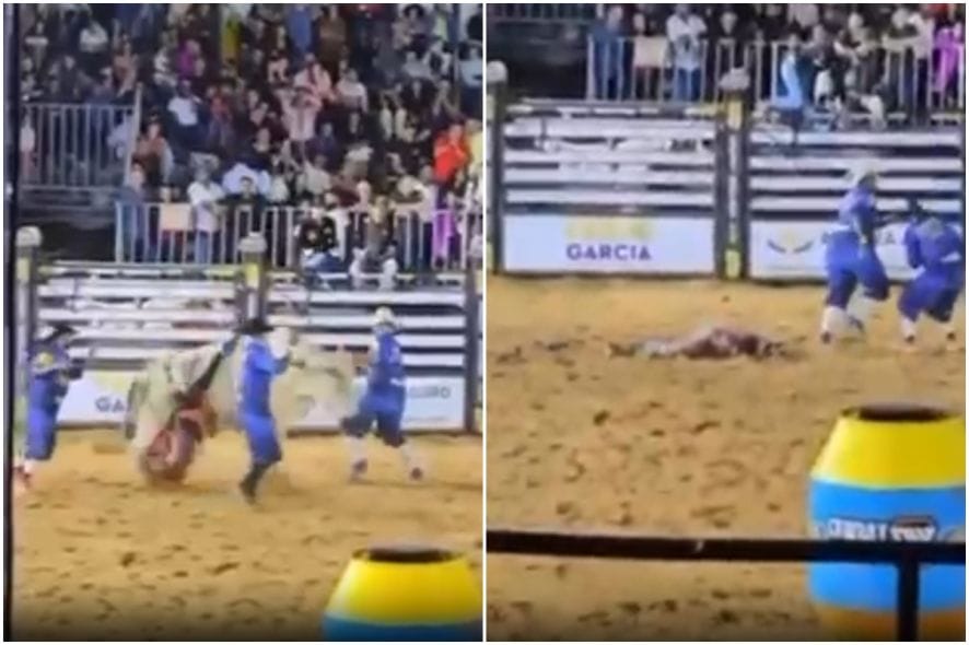 Peão de rodeio morre após ser pisoteado por touro durante competição em Nova Ubiratã