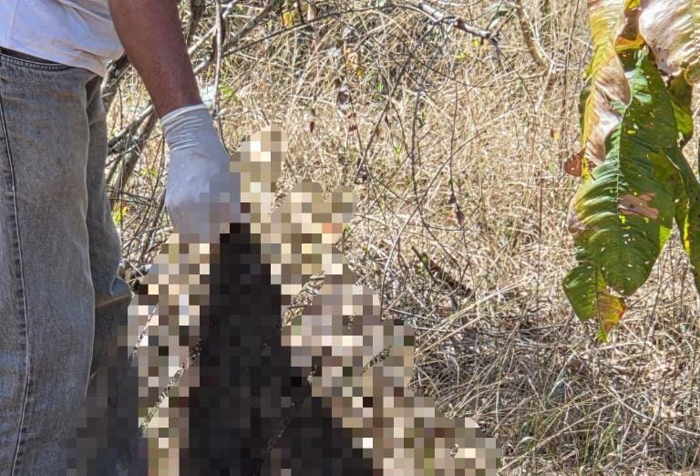Ossada encontrada pela Polícia Civil revela indícios de tortura e decapitação