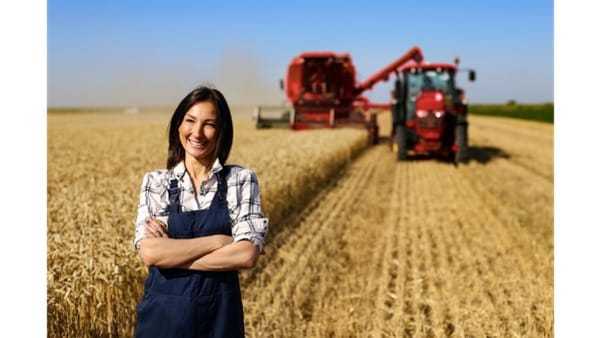 Agronegócio brasileiro avança na geração de empregos e qualificação profissional