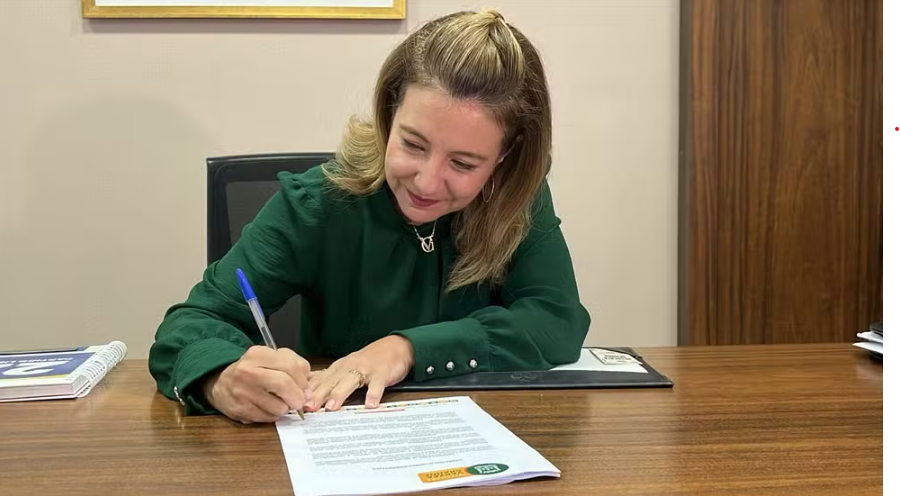 Flávia acusa Wanderley Cerqueira de tentar mandar e lotear a Prefeitura de VG