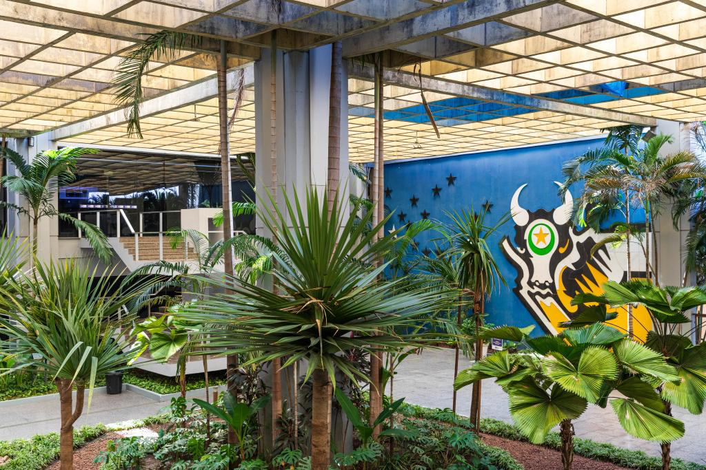 Governo de MT regulamenta decreto sobre moratória da soja e concessão de incentivos