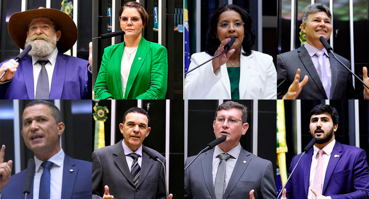 Sete deputados federais devem buscar à reeleição na Câmara