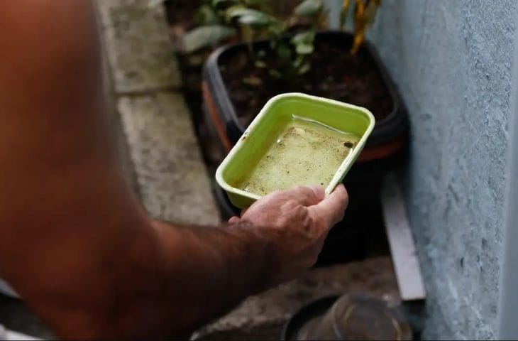 Prefeitura de Sinop reforça medidas de prevenção contra a dengue e alerta para cuidados dentro das residências