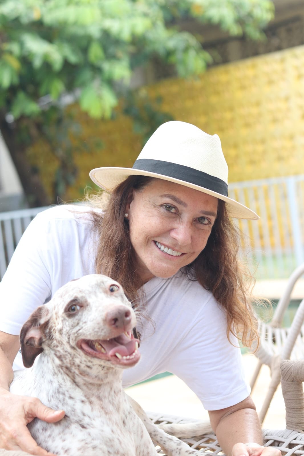 Educação é a vacina contra o abandono animal