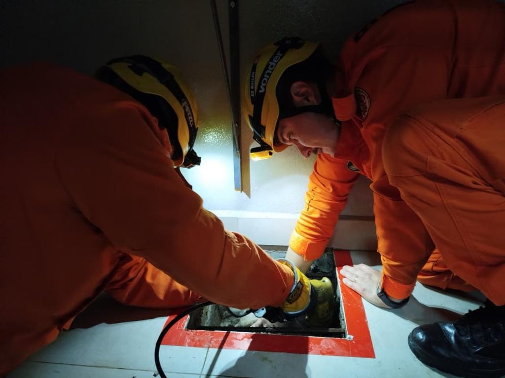 Corpo de Bombeiros resgata gato soterrado em concreto seco