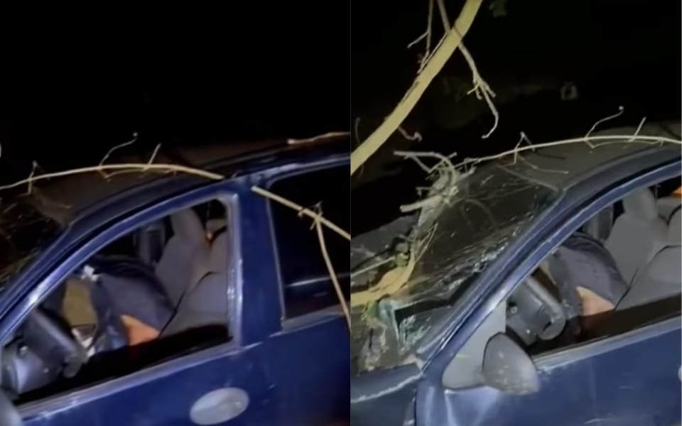 Homem morre após perder controle do veículo e colidir contra árvore em rodovia