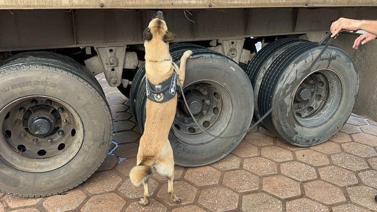 PF desarticula grupo que operava no tráfico interestadual de drogas
