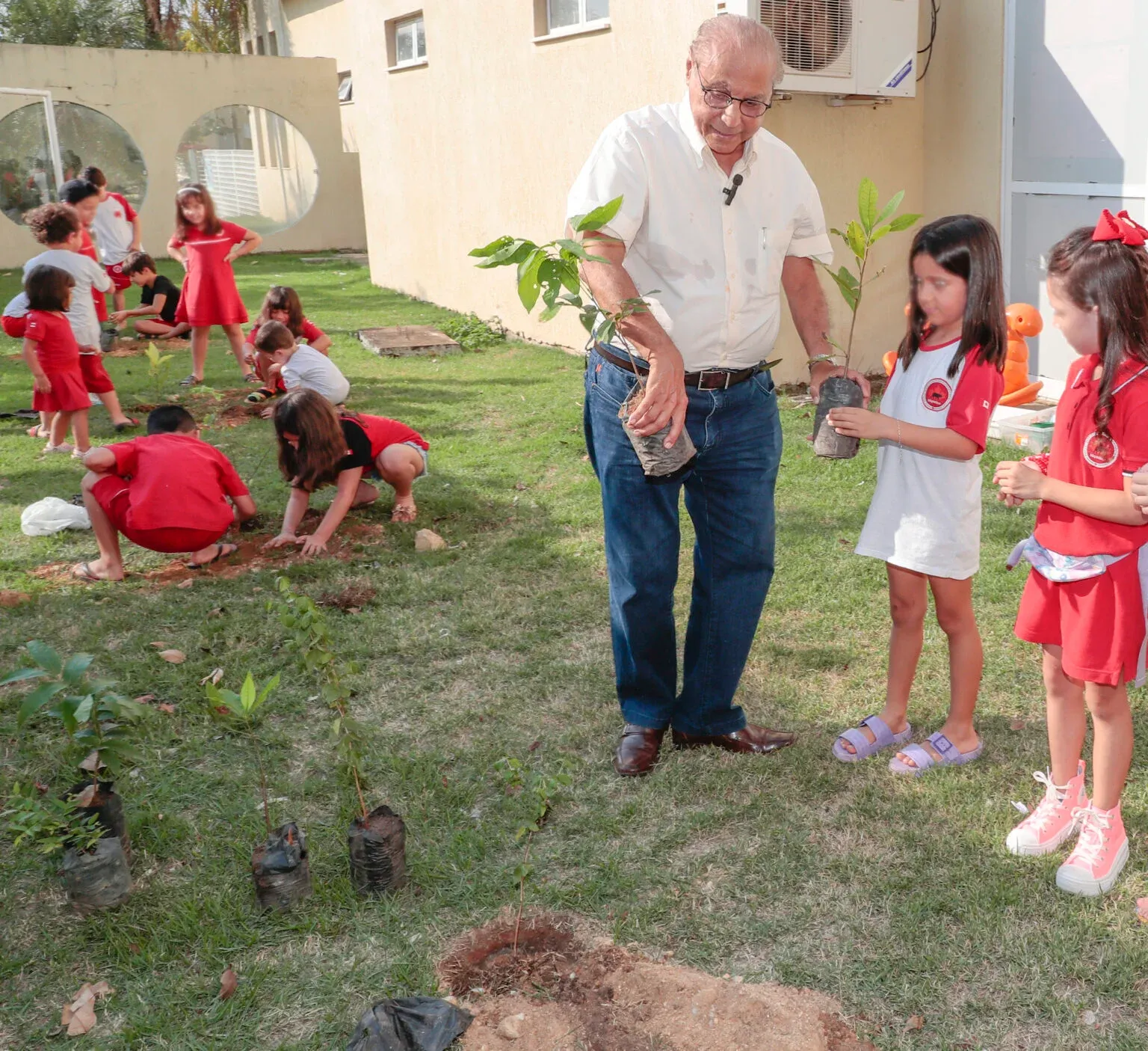 Plantar árvores é um importante caminho para reduzir os danos da crise climática em MT