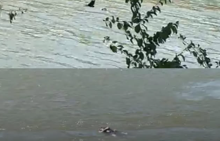 Corpo de homem é encontrado boiando no Rio Cuiabá; vítima usava tornozeleira eletrônica