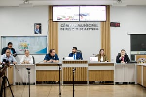 Presidente da AL participa de audiência e defende fortalecimento da mineração