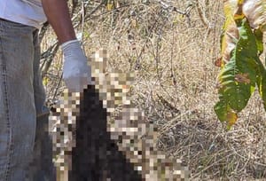 Ossada encontrada pela Polícia Civil revela indícios de tortura e decapitação
