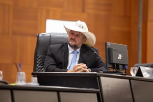 Cattani cria Comissão Especial de Defesa da Mulher no combate ao feminicídio