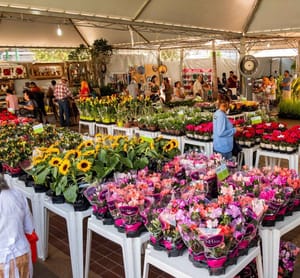 Evento reúne natureza, cultura e economia criativa no coração da capital mato-grossense