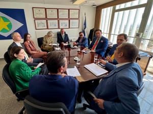 Deputados e bancada federal discutem futuro do fornecimento de energia