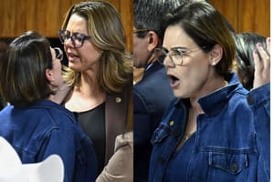 "Eu podia apanhar, mas não ia deixar barato", diz Cel Fernanda