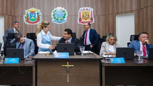 Flávia vai na Câmara para articular aprovação de fusão