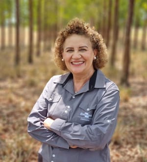 Solo saudável: o grande trabalhador da agricultura brasileira