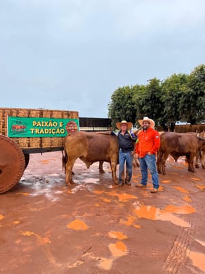 Prefeito de Pontal lidera carreiros em protesto por asfalto na BR-158 em MT