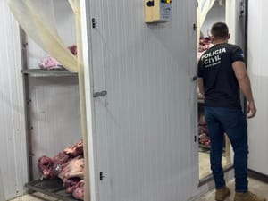 PC identifica e conduz 11 pessoas para a delegacia por saquear carga de carne na MT-235