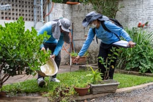 Prefeitura faz grande mutirão contra a dengue em Cuiabá nesta terça