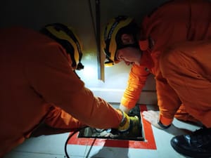 Corpo de Bombeiros resgata gato soterrado em concreto seco