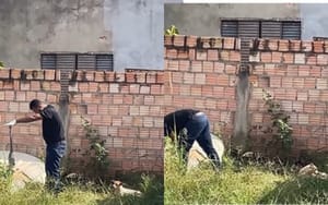Corpo é encontrado em terreno baldio; cachorros de estimação estavam ao lado do cadáver