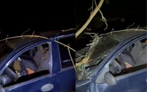 Homem morre após perder controle do veículo e colidir contra árvore em rodovia