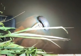 Carro cai em rio e motorista morre afogado no interior em cidade do interior de MT