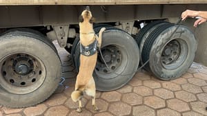 PF desarticula grupo que operava no tráfico interestadual de drogas