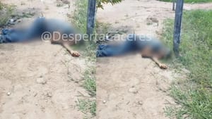 Ex-candidato a vereador de Cáceres é executado com 12 tiros na Bolívia