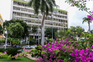 Prefeito sanciona lei que institui data de combate ao feminicídio em Cuiabá
