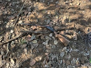 PM localiza suspeito de homicídio e estupro de jovem em Poxoréu