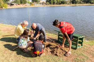 Campanha de plantio de árvores em troca de figurinhas da copa será lançada neste domingo