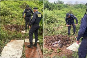 Corpo é localizado em área de mata em Várzea Grande; local é isolado pela Guarda Municipal
