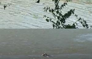 Corpo de homem é encontrado boiando no Rio Cuiabá; vítima usava tornozeleira eletrônica