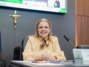 Paula encerra semestre com 7.595 indicações e 15 projetos de lei aprovados