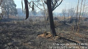 Homem é preso após colocar fogo em fios para furtar cobre e provocar incêndio em MT