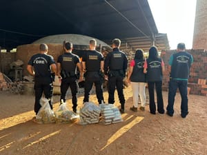 Polícia Federal incinera 60 kg de drogas em cidade do interior de Mato Grosso